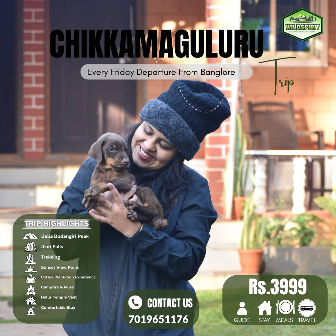 Chikkamagaluru Trip