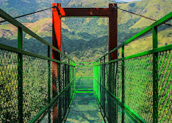 Wayanad Trip (3D/2N)